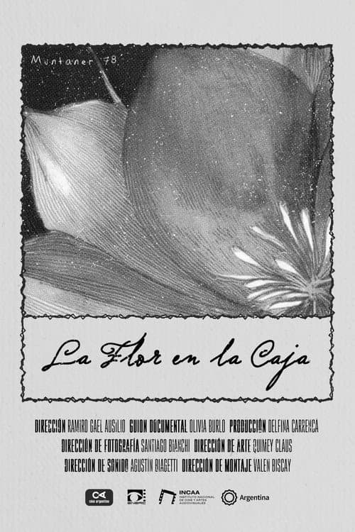 La Flor en la Caja (2025) poster