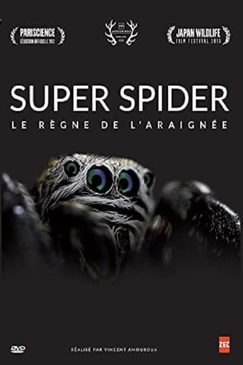 Le Règne de l'araignée (2012) poster