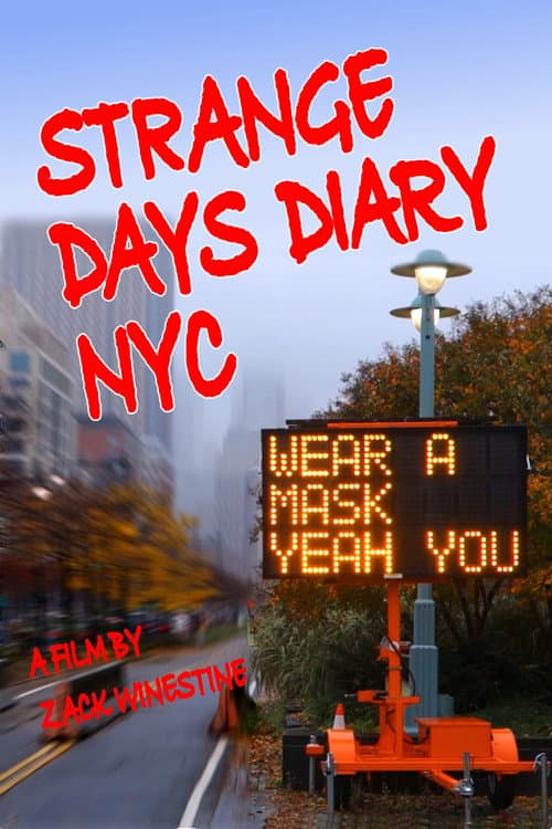 Strange Days Diary NYC (2024) poster