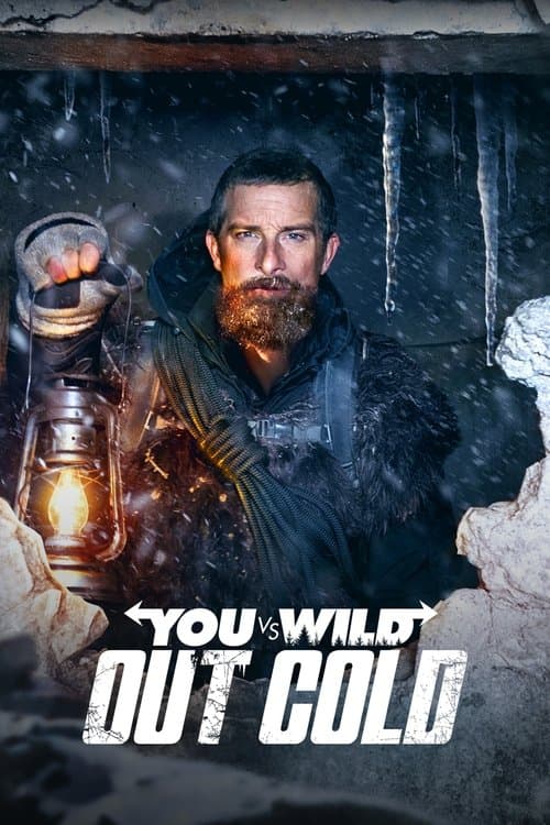 You vs. Wild: Out Cold (2021) poster