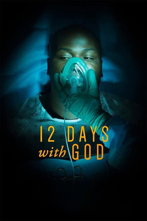 12 Days with God (2019) poster