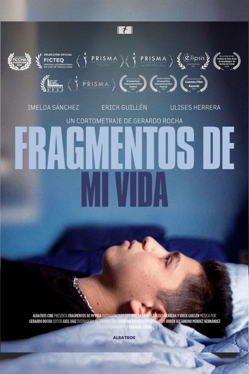 Fragmentos de mi Vida (2023) poster