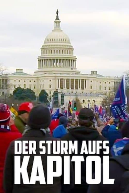 Der Sturm aufs Kapitol - Ein amerikanisches Trauma (2022) poster
