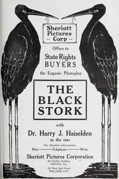 The Black Stork (1917) poster
