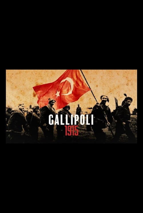 Gallipoli 1915 (2015) poster