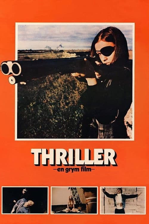 Thriller: A Cruel Picture (1973) poster
