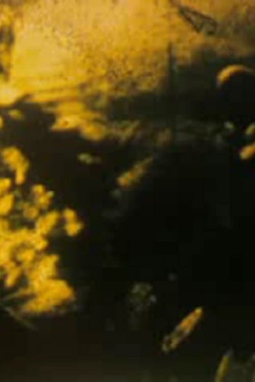Krepl (1988) poster