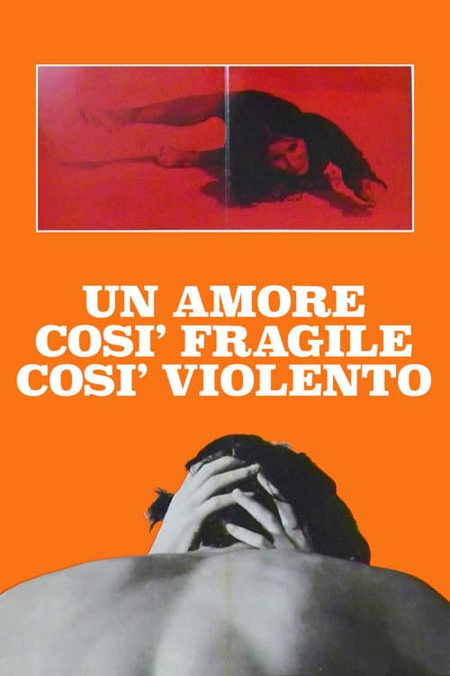 Un amore così fragile, così violento (1973) poster