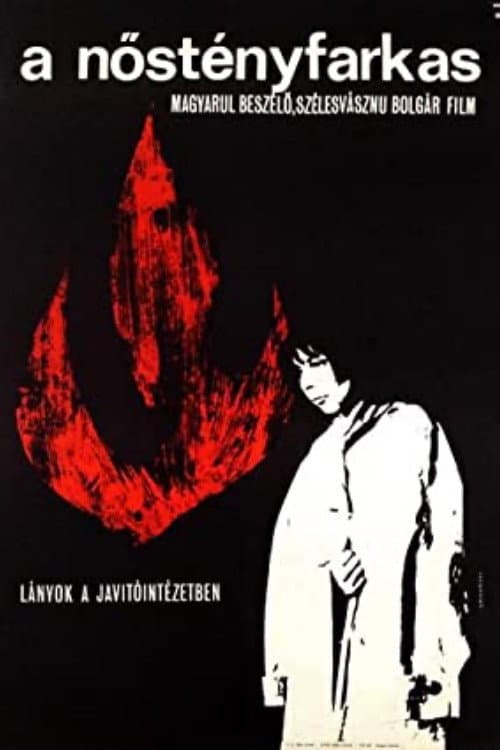 Вълчицата (1965) poster