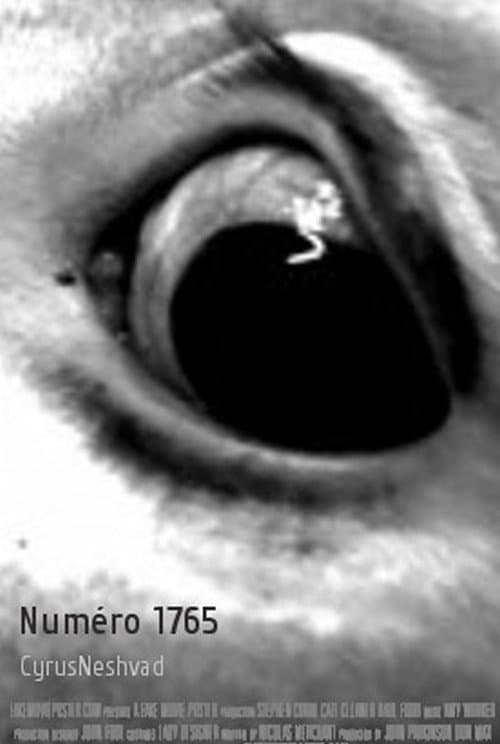 Numéro 1765 (2009) poster