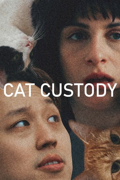 Cat Custody (2026) poster