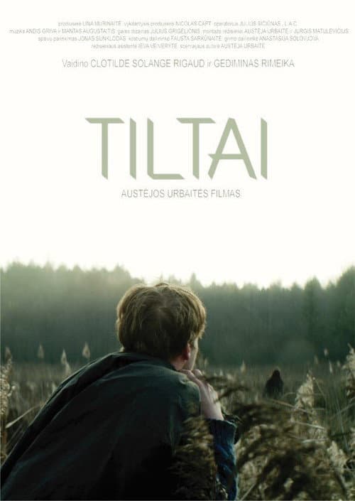 Tiltai (2015) poster