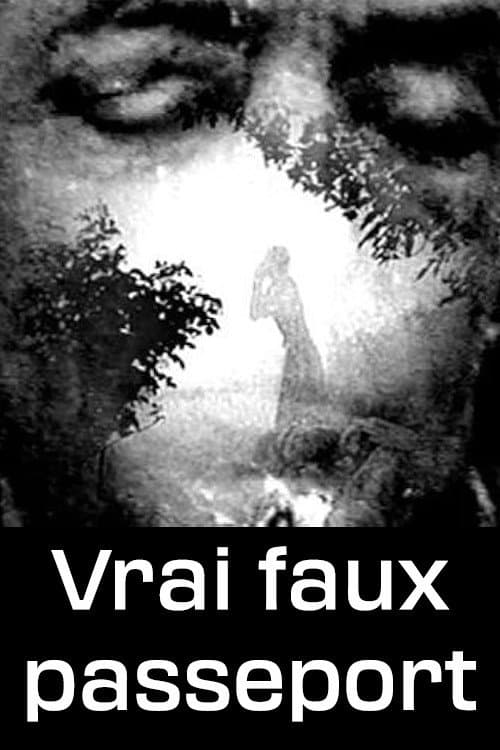 Vrai faux passeport (2006) poster
