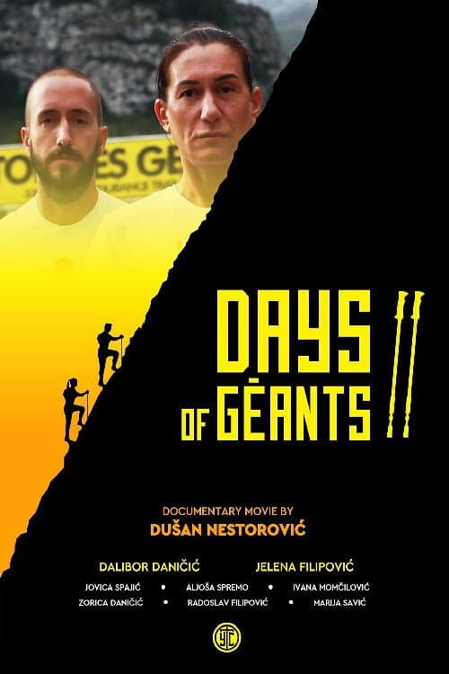 Dani divova II (2020) poster