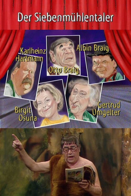 Der Siebenmühlentaler (1995) poster