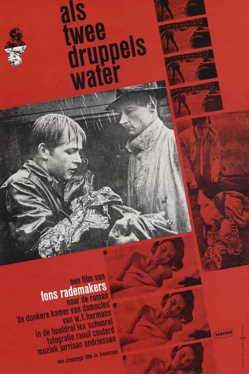 Als twee druppels water (1963) poster