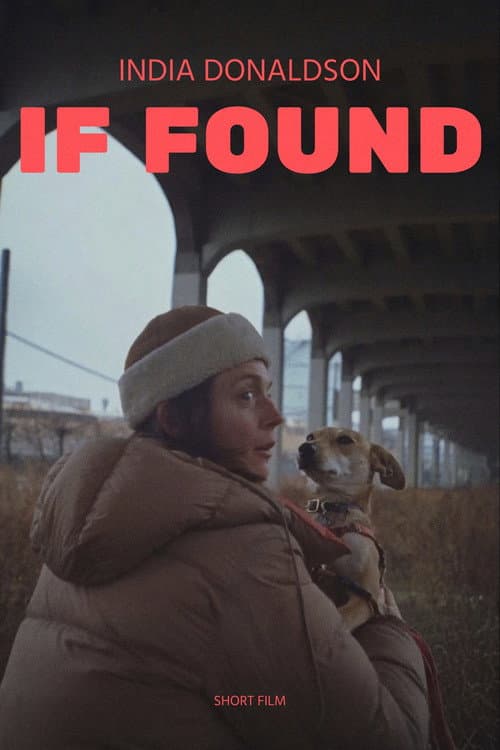 If Found (2021) poster