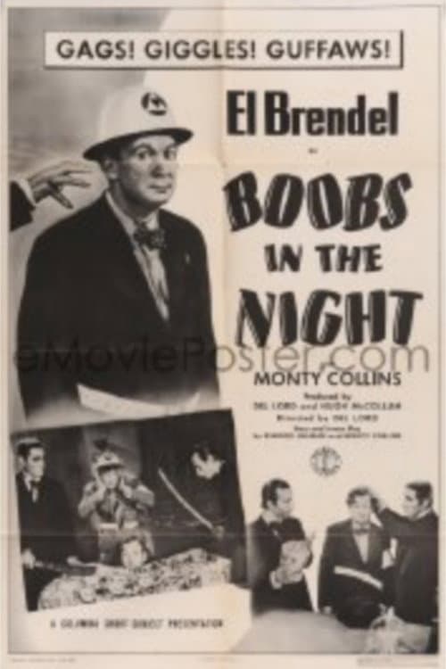 Boobs in the Night (1943) poster