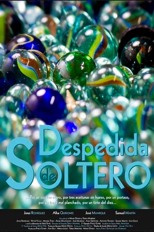 Despedida de Soltero (2013) poster