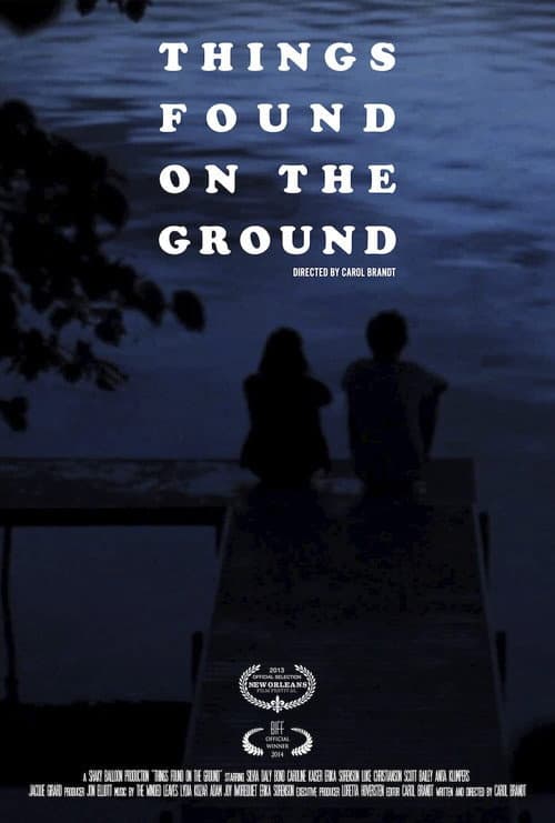 Things Found on the Ground (2013) poster