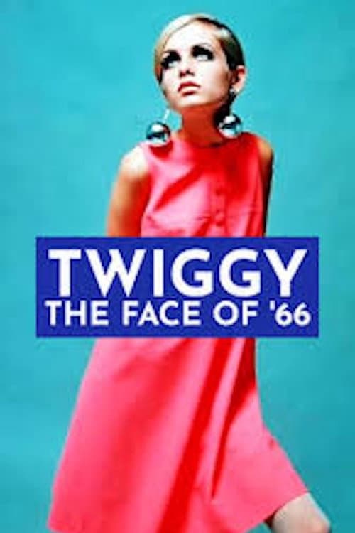 Twiggy: The Face of '66 (2012) poster