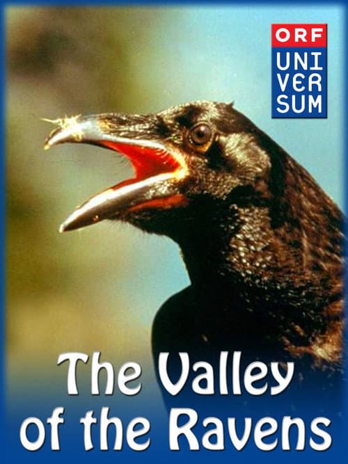 Valley of the Ravens (1997) poster