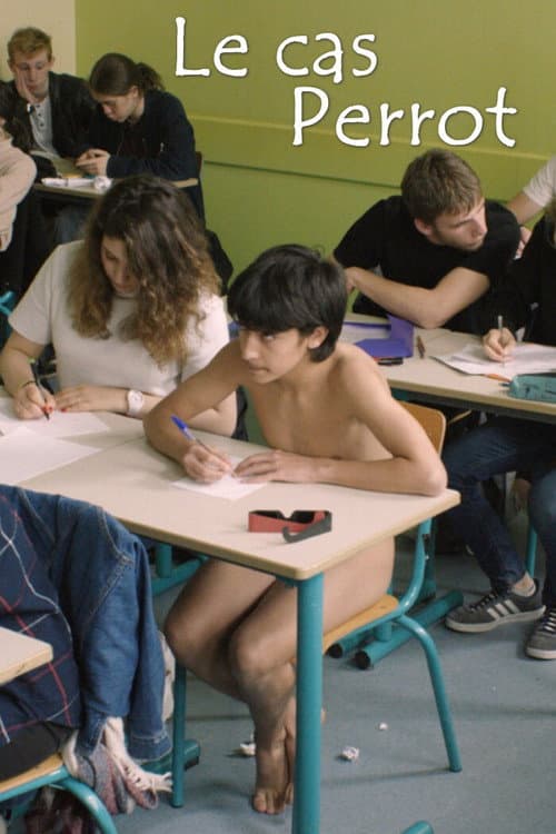 Le cas Perrot (2019) poster