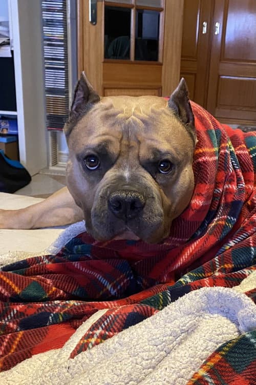 Kratos foto