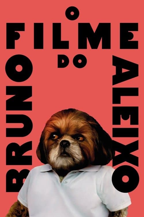 O Filme do Bruno Aleixo (2020) poster
