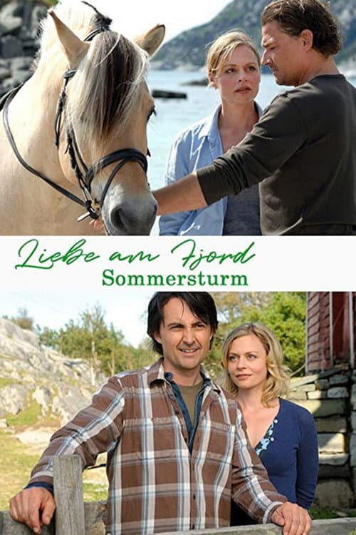 Liebe am Fjord - Sommersturm (2010) poster