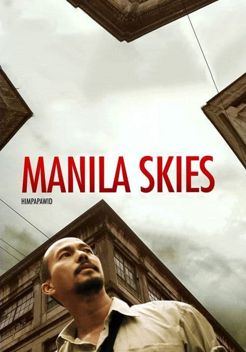 Himpapawid (2009) poster