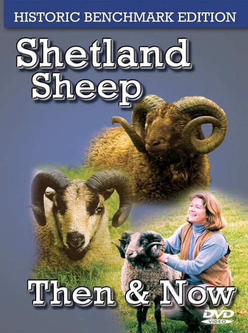 Shetland Sheep Then & Now (Historic Benchmark Edition) (2004) poster