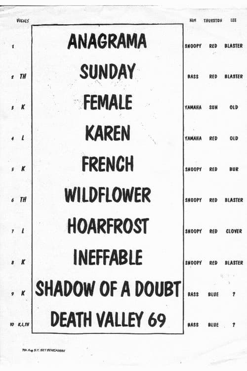 Sonic Youth: Festival Internacional de Benicàssim (1998) poster