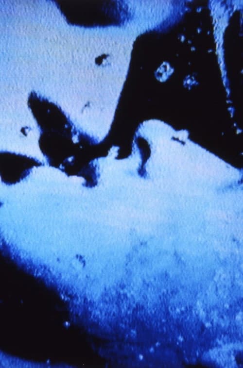 Self-Portrait in 23 Rounds: a Chapter in David Wojnarowicz’s Life, 1989–1991 (2019) poster