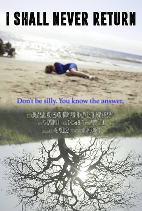 I Shall Never Return (2017) poster