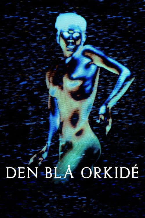 Den blå orkidé (2020) poster