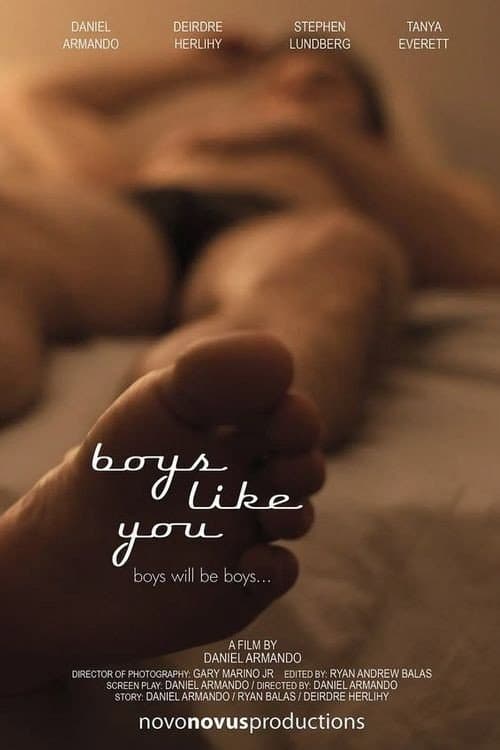 Boys Like You (2011) poster