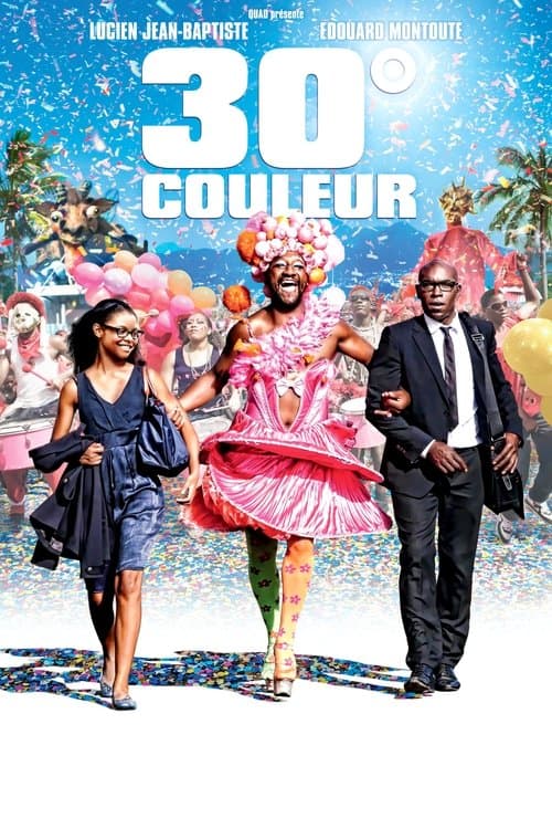 30° Couleur (2012) poster