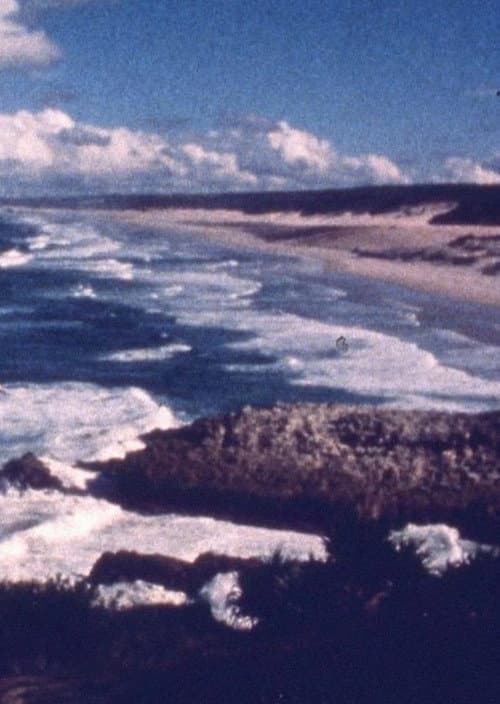 Ocean at Point Lookout (1977) poster