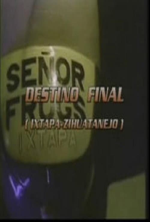 Destino final (Ixtapa - Zihuatenejo) (1996) poster