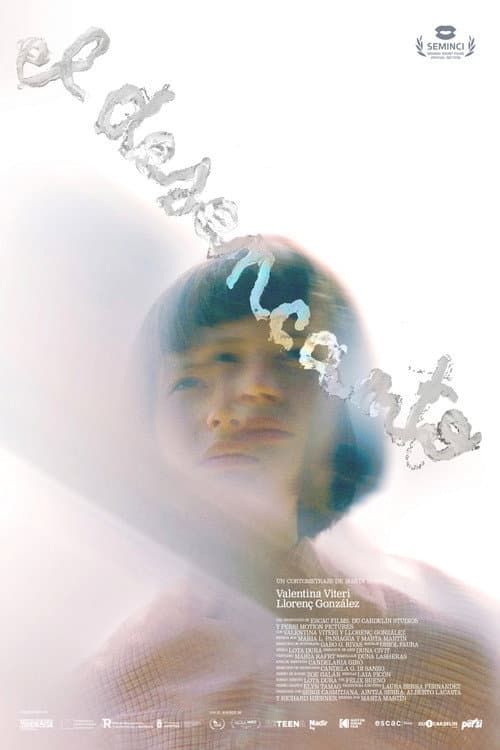 El Desencanto (2026) poster