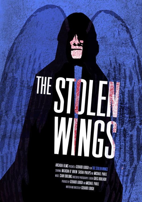 The Stolen Wings (2009) poster