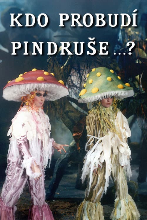 Kdo probudí Pindruše...? (1989) poster