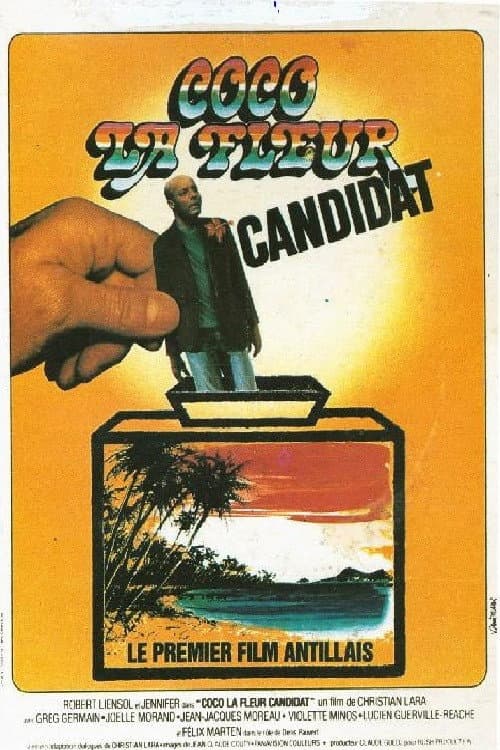 Coco la Fleur, candidat (1979) poster