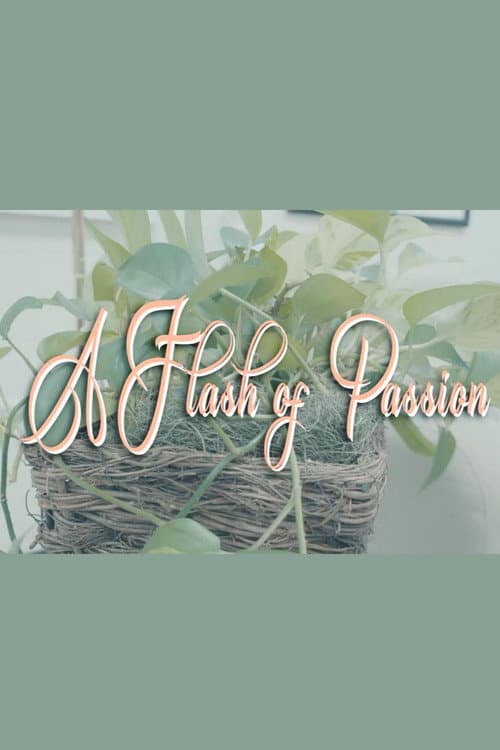 A Flash Of Passion (2025) poster
