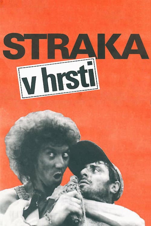 Straka v hrsti (1991) poster