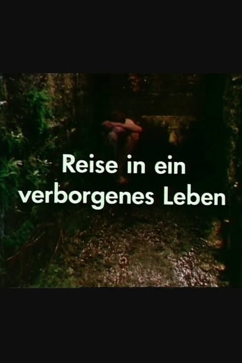 Reise in ein verborgenes Leben (1983) poster