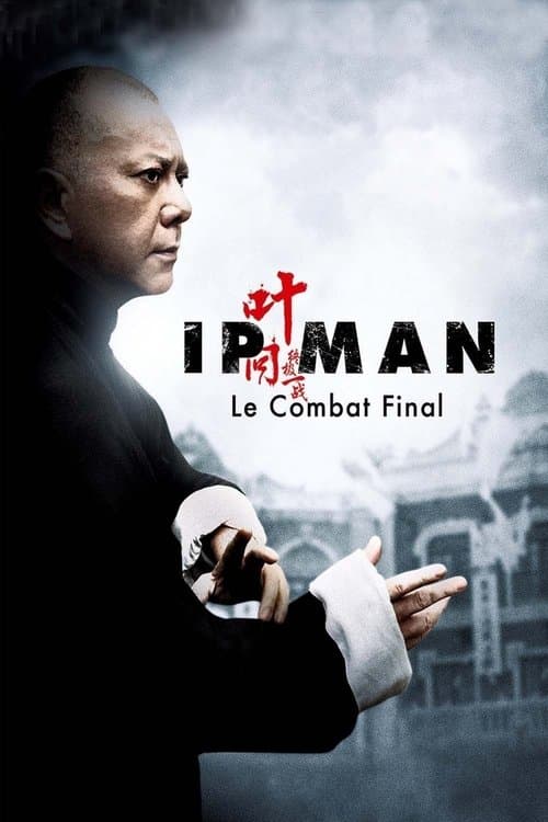 Ip Man: The Final Fight (2013) poster