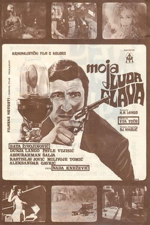 Moja luda glava (1971) poster
