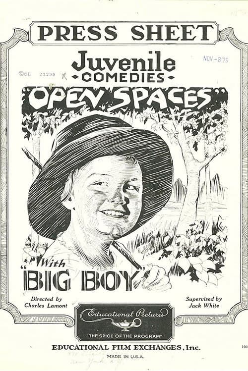 Open Spaces (1926) poster